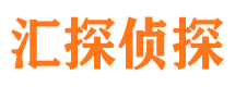 新浦市侦探公司